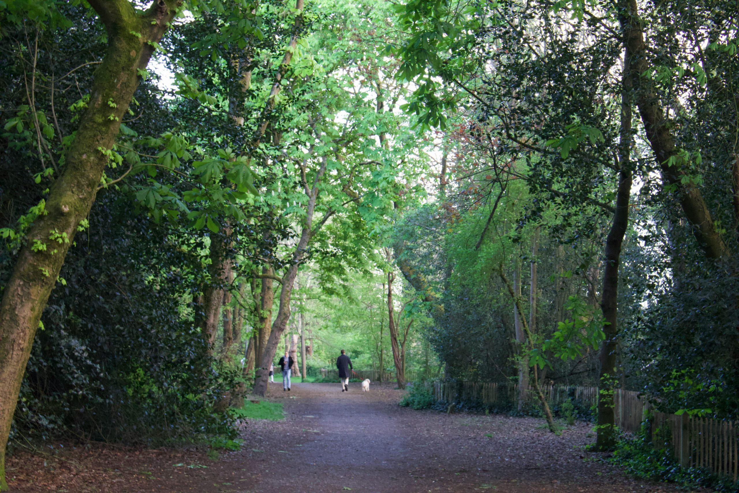 Local walking session — countryside path