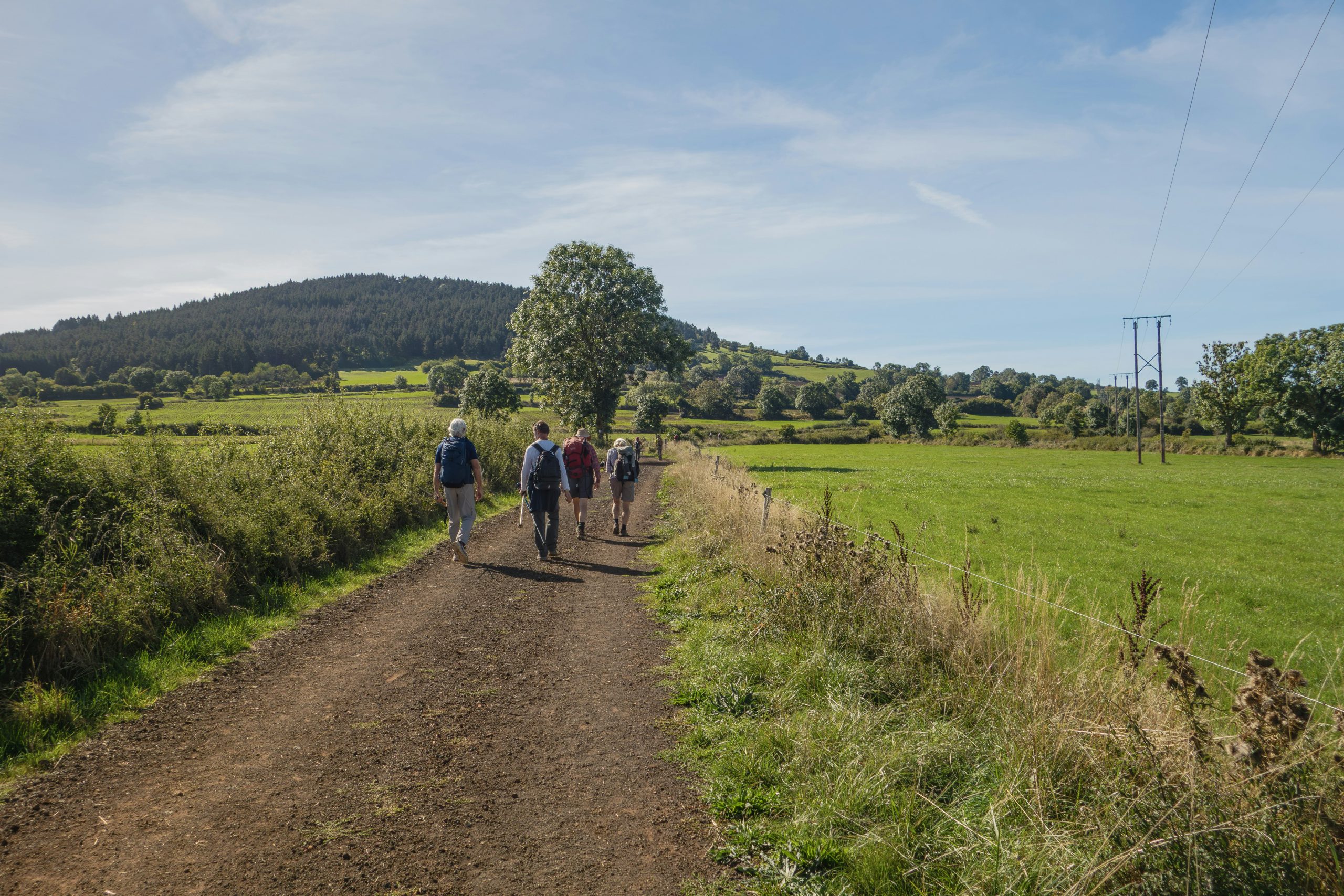 Small group walking session